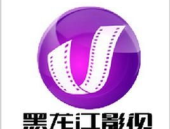 黑龙江影视频道直播,精彩瞬间尽收眼底