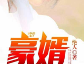 豪婿 小说,从上门女婿到家族荣耀