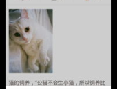 娱乐吃瓜酱猫叫